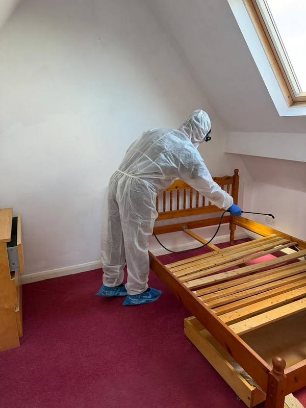Treating a bed frame